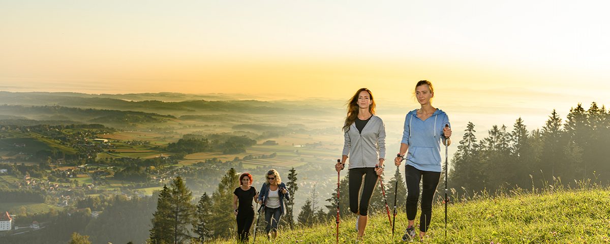 eine Gruppe von Personen beim Nordic Walking im steirischen Schilcherland