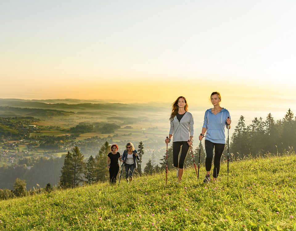 eine Gruppe von Personen beim Nordic Walking im steirischen Schilcherland