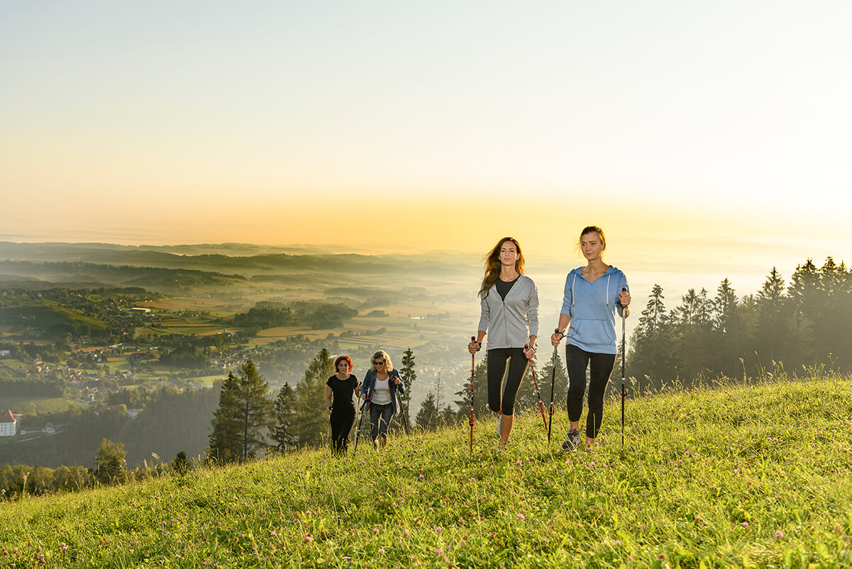 eine Gruppe von Personen beim Nordic Walking im steirischen Schilcherland