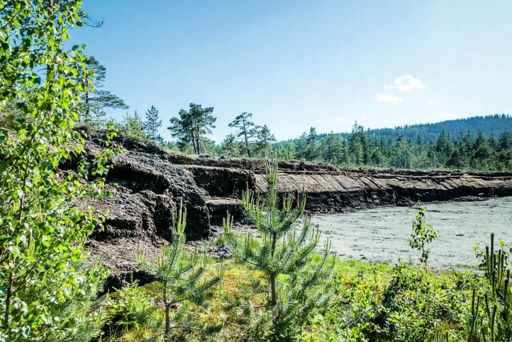 die beeindruckende Moorwand des Hochmoores von Garanas