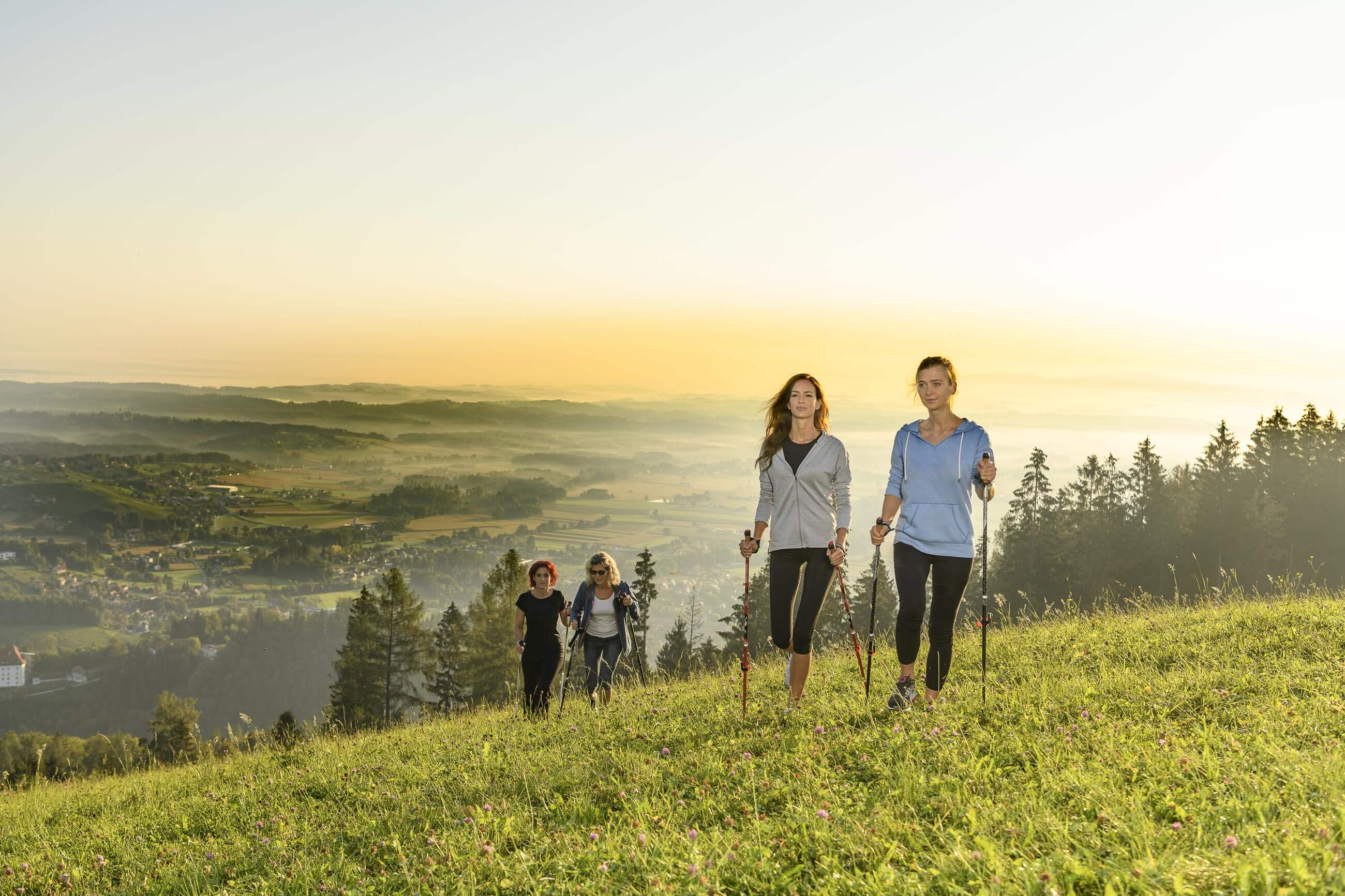 eine Gruppe von Personen beim Nordic Walking im steirischen Schilcherland