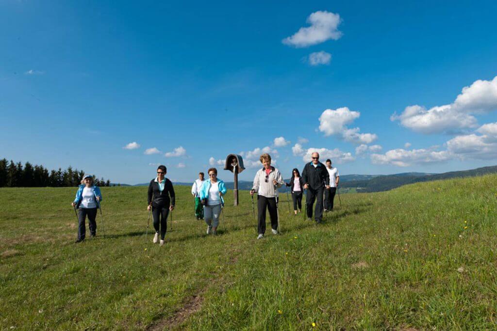 eine Gruppe walkender Personen auf einer Wiesenlandschaft