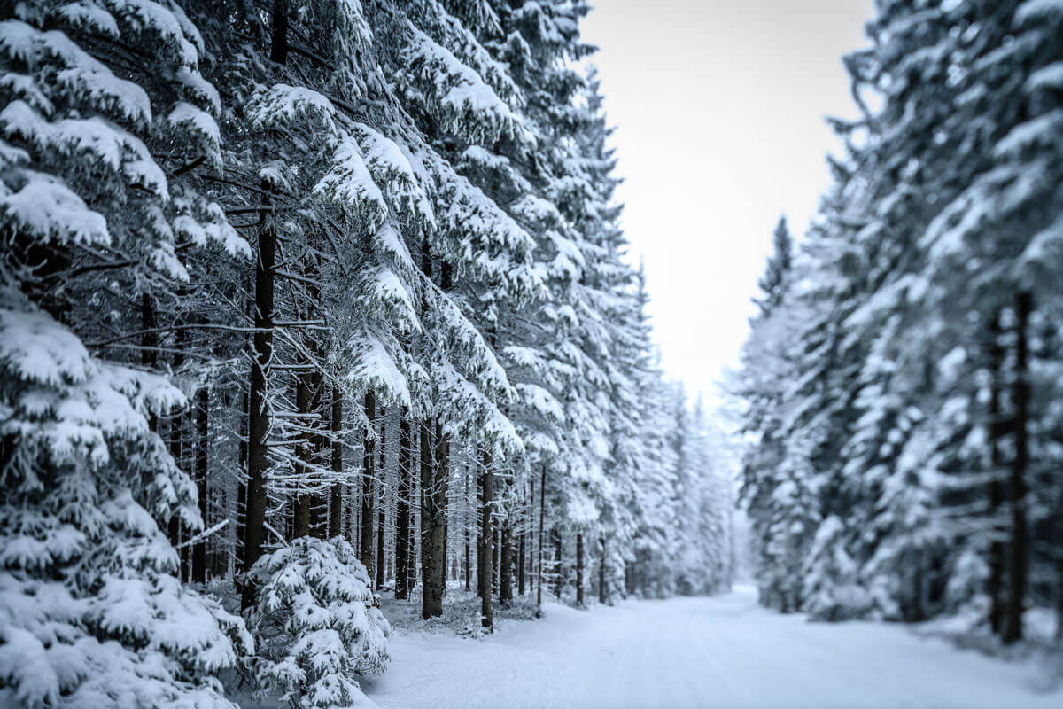 einsame Straße einer Winterlandschaft
